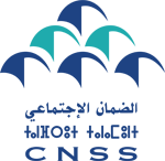 CNSS logo